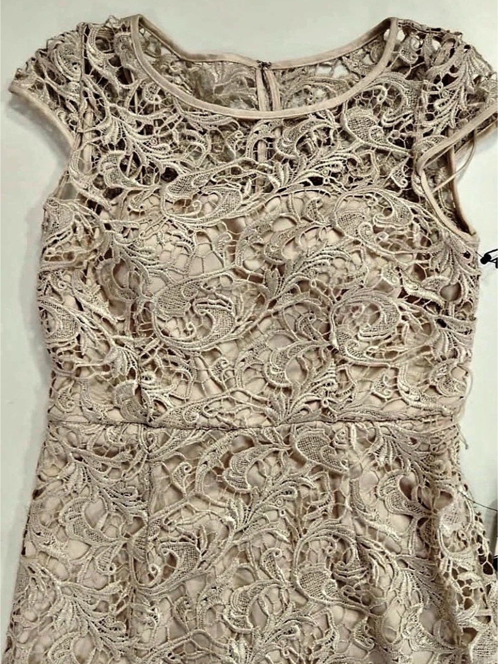 Adrianna Papell Floral Lace Maxi Dress in Pink Size 10 Like New